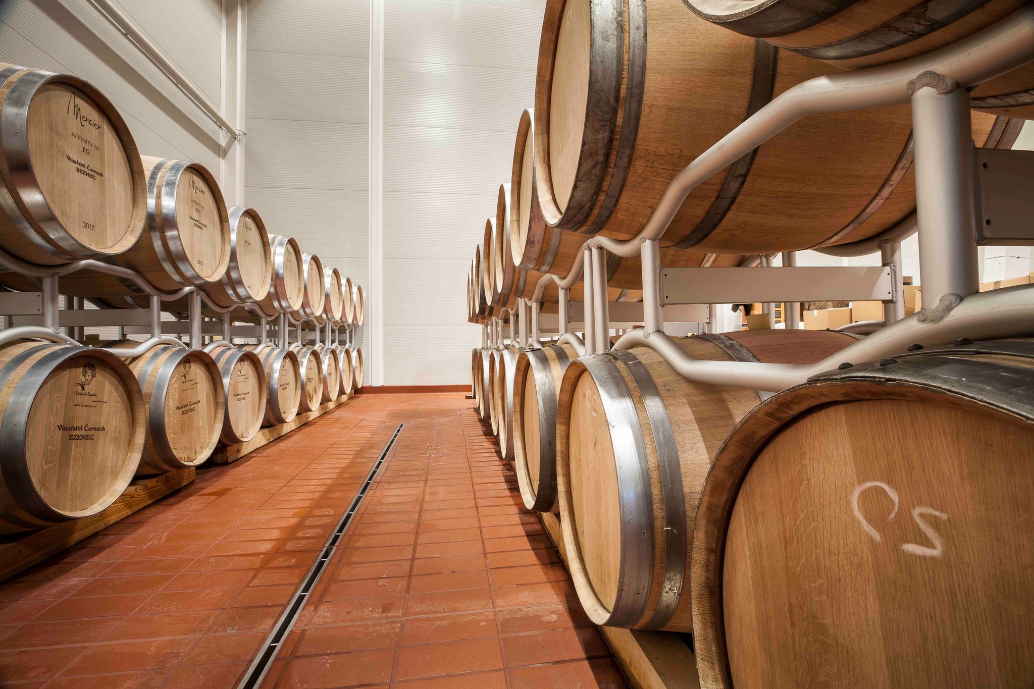 Ubytování ve sklepě